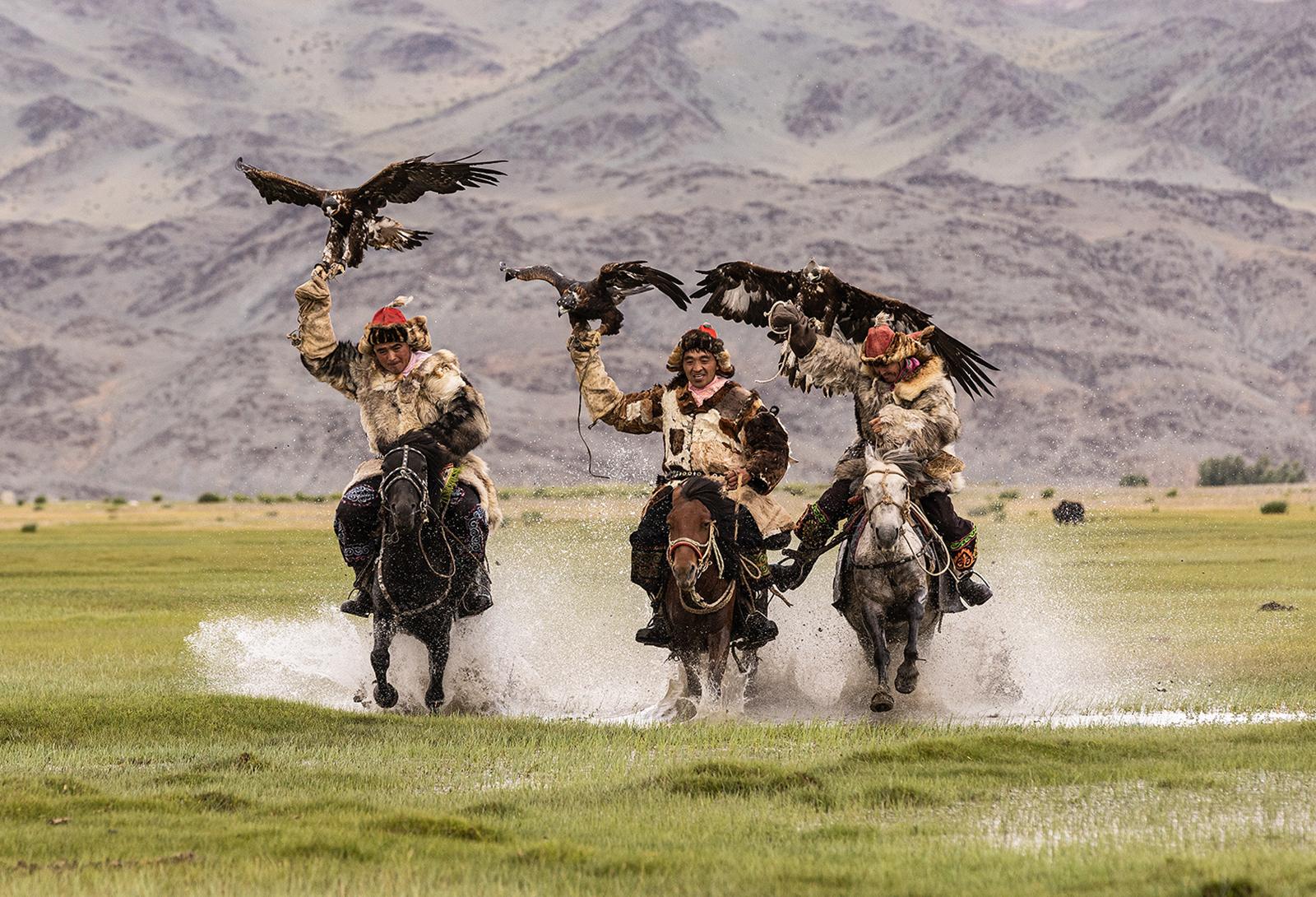 HUNTING WITH EAGLES by Marie-Laure Stone